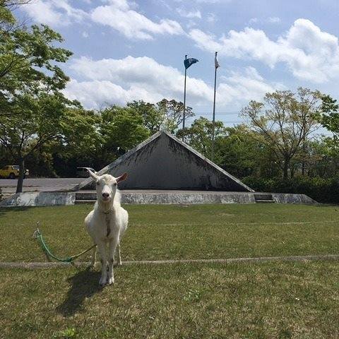 青海