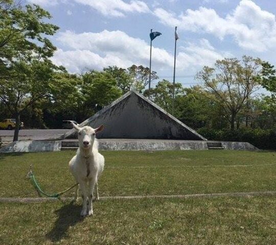 青海公民館